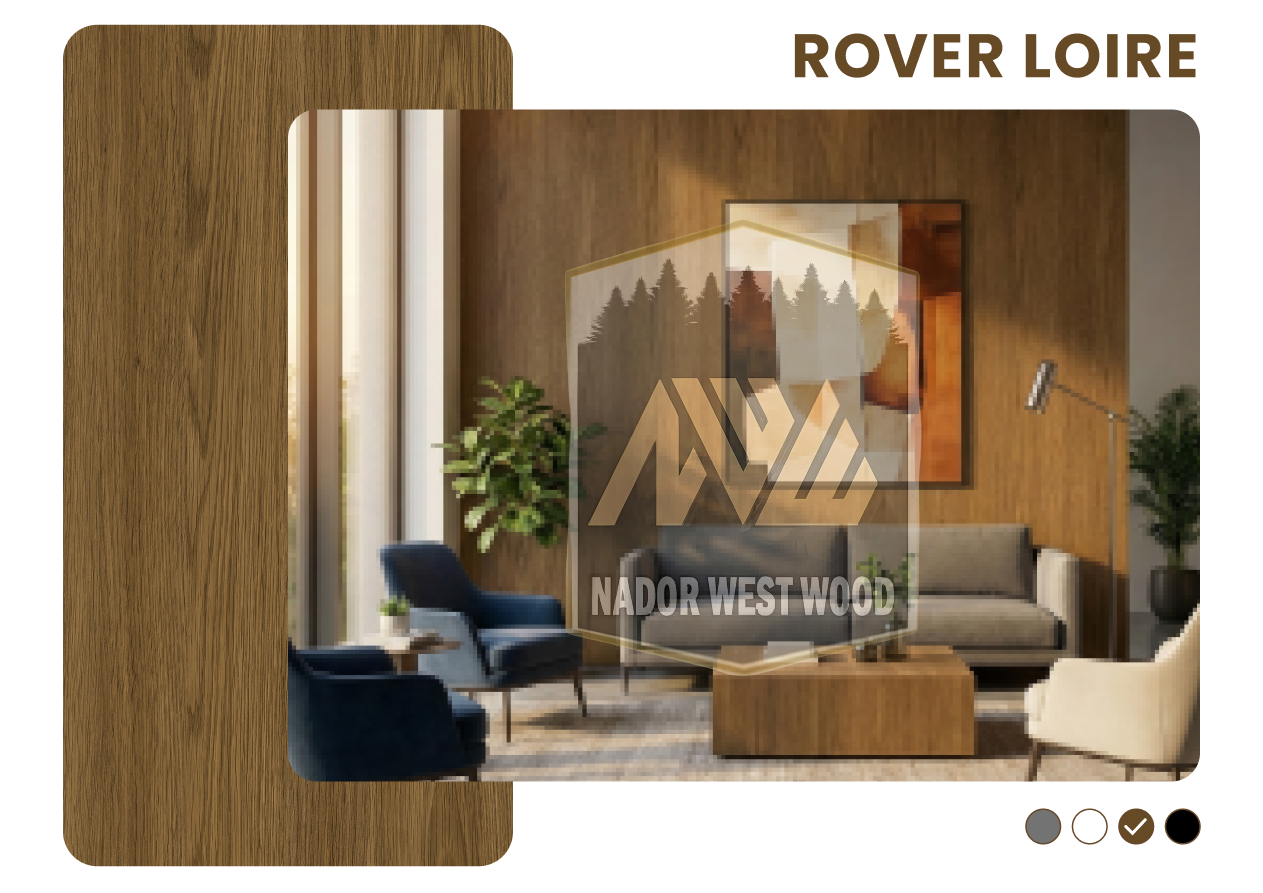 Rover Loire